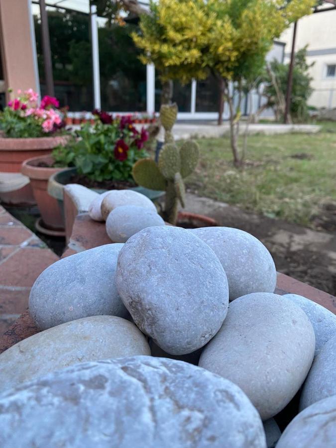 Curani House Apartment Ulcinj Luaran gambar
